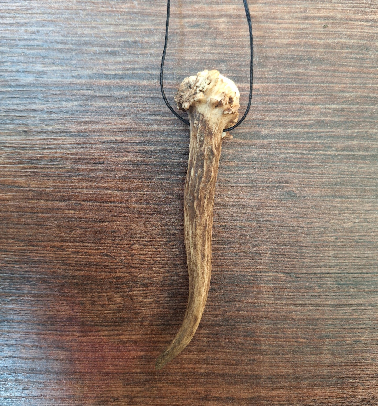 Roe deer antler necklaces