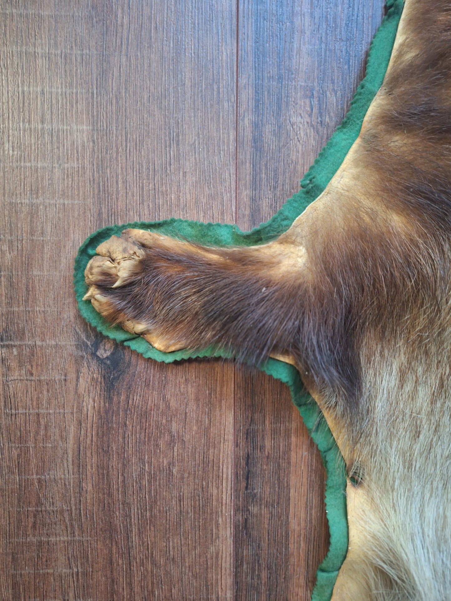Vintage badger hide preparation
