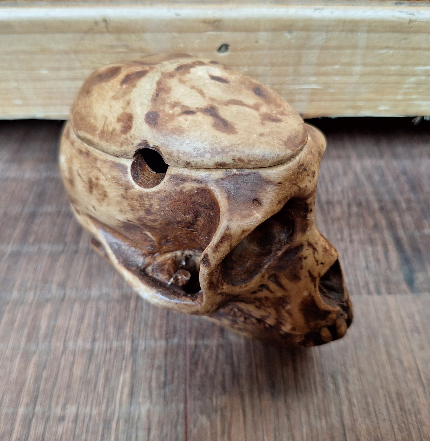 Resin monkey skull kapala