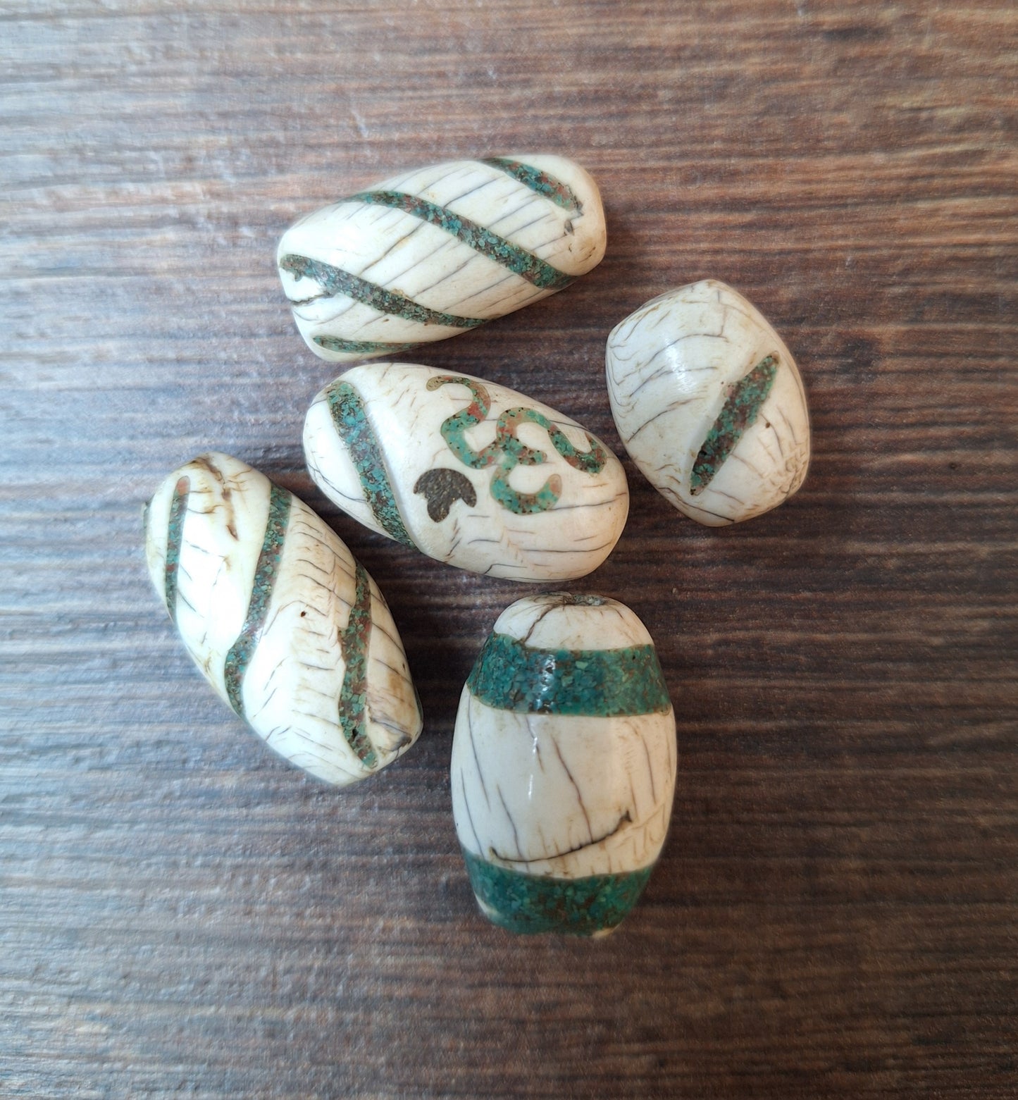 Old conch shell beads with turquoise inlay, set of 5