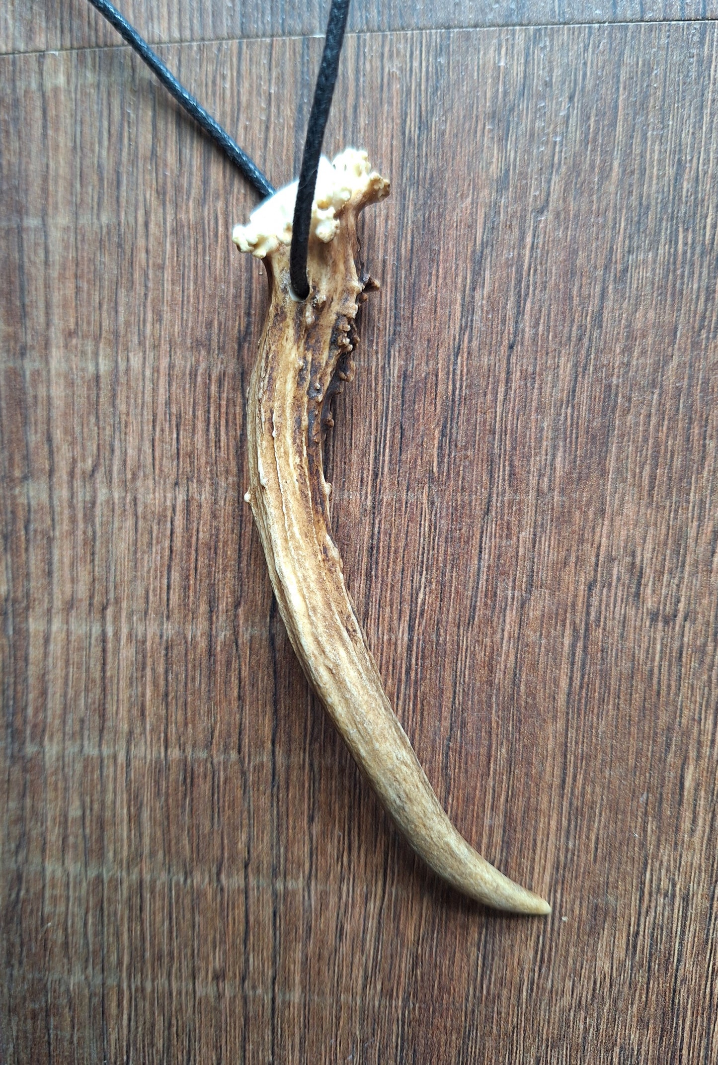 Roe deer antler necklaces