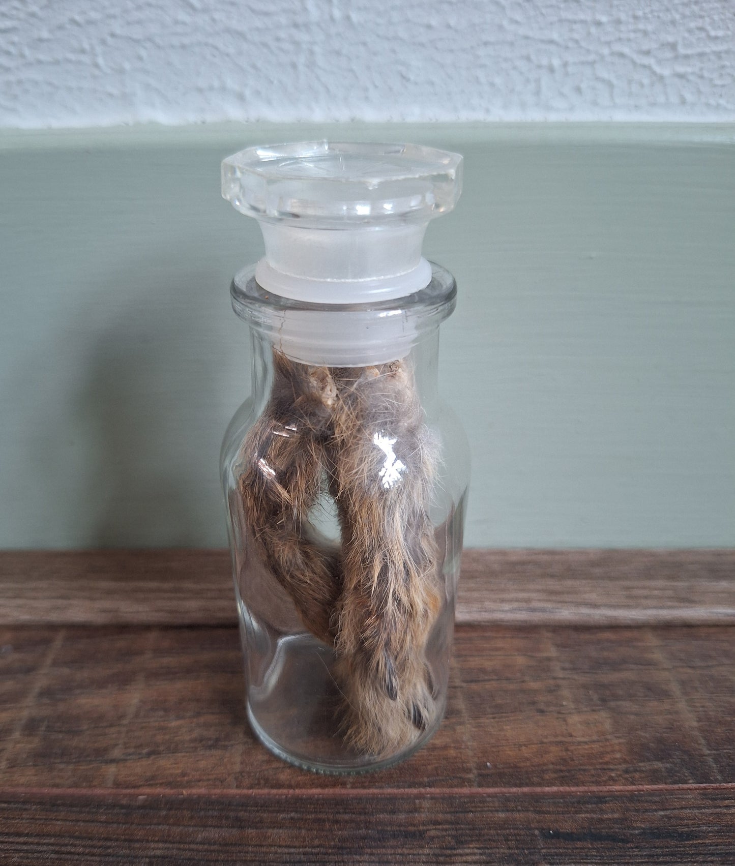 Hare paws, B-quality, in glass bottle