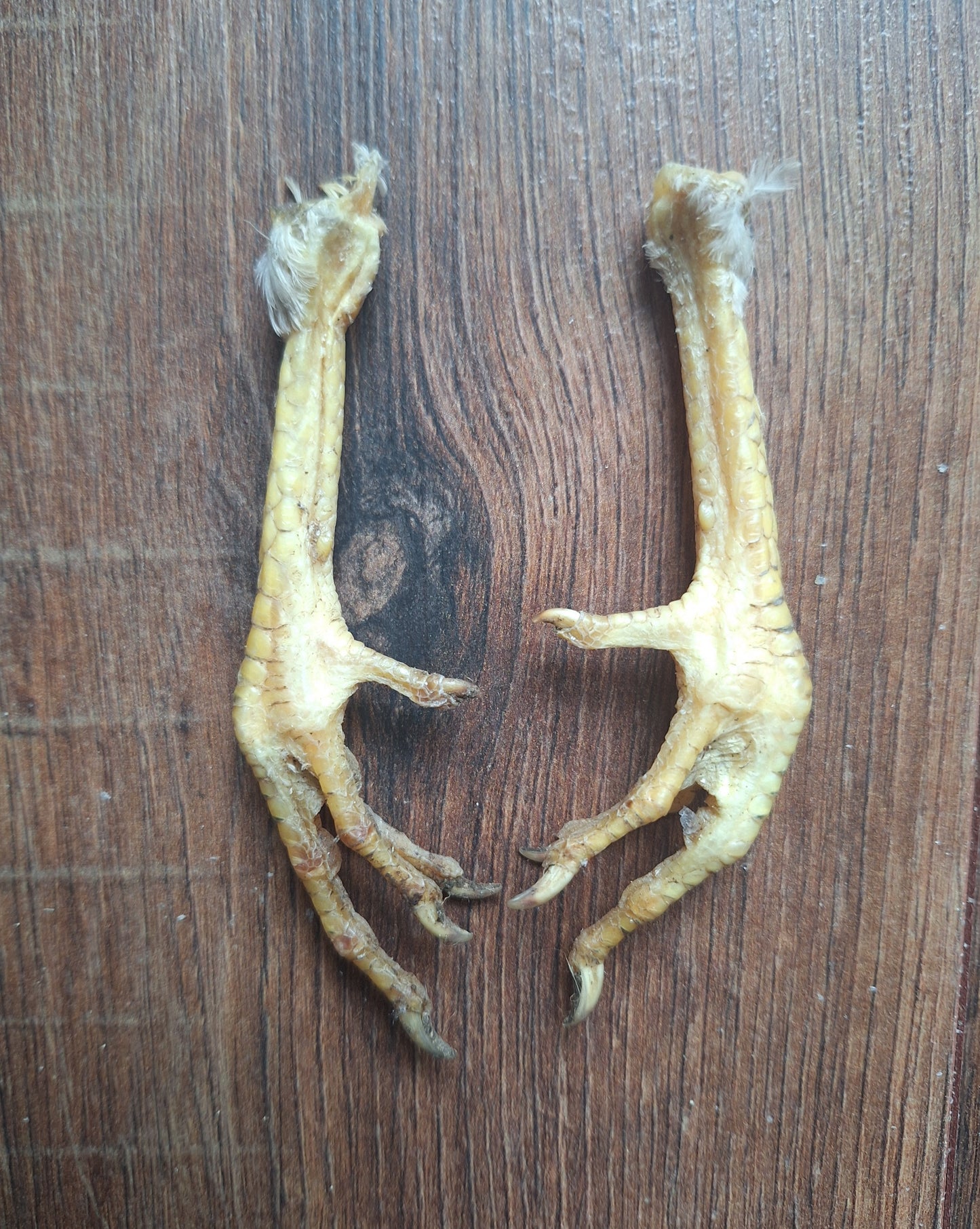 Chicken lower legs, set of 2