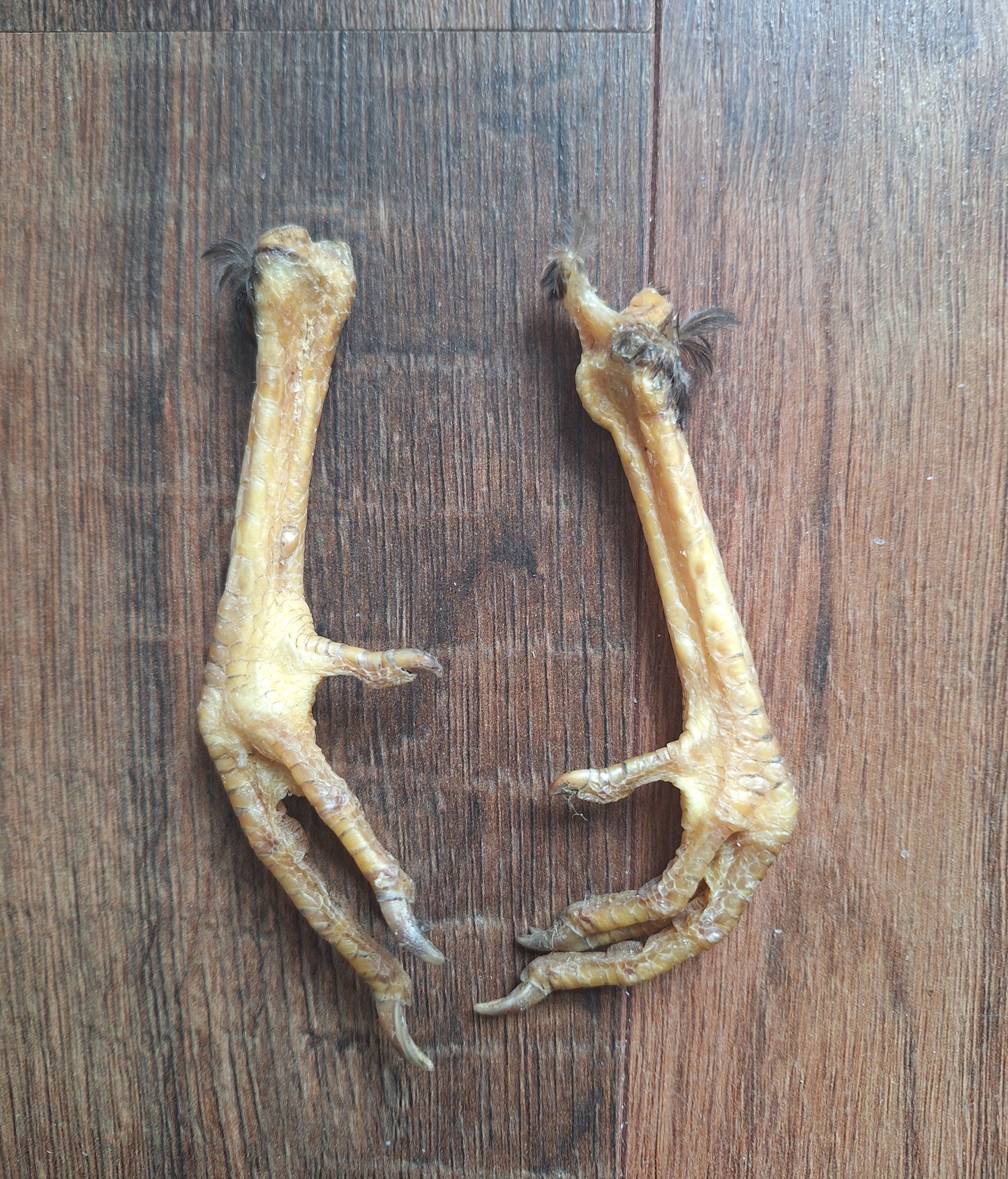 Chicken lower legs, set of 2