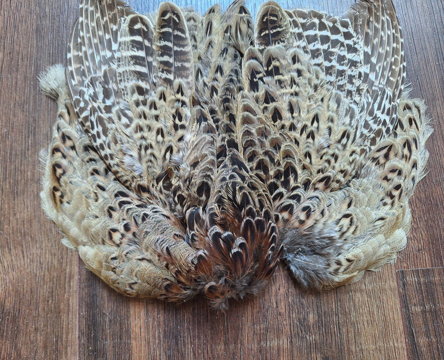 Pheasant skin