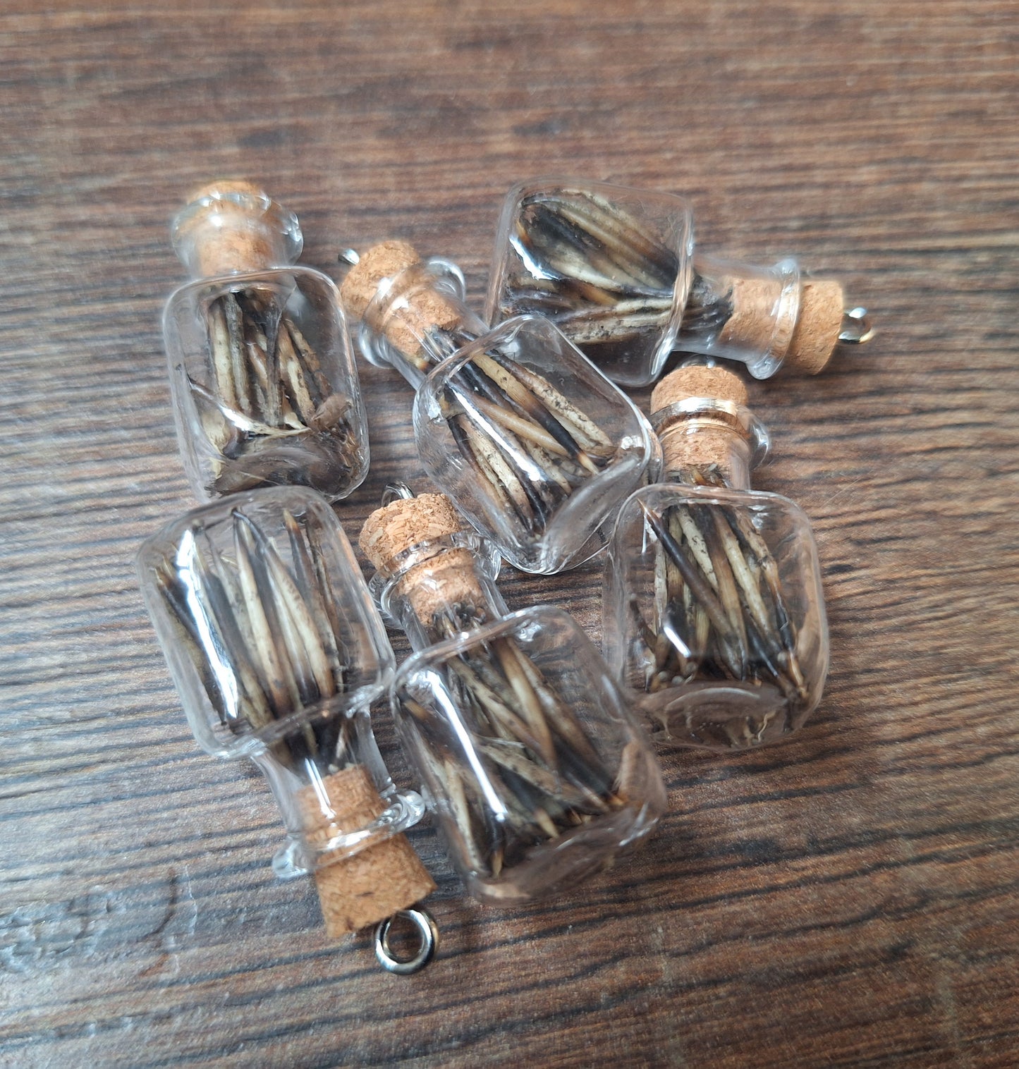 Mini bottle hedgehog spikes #2