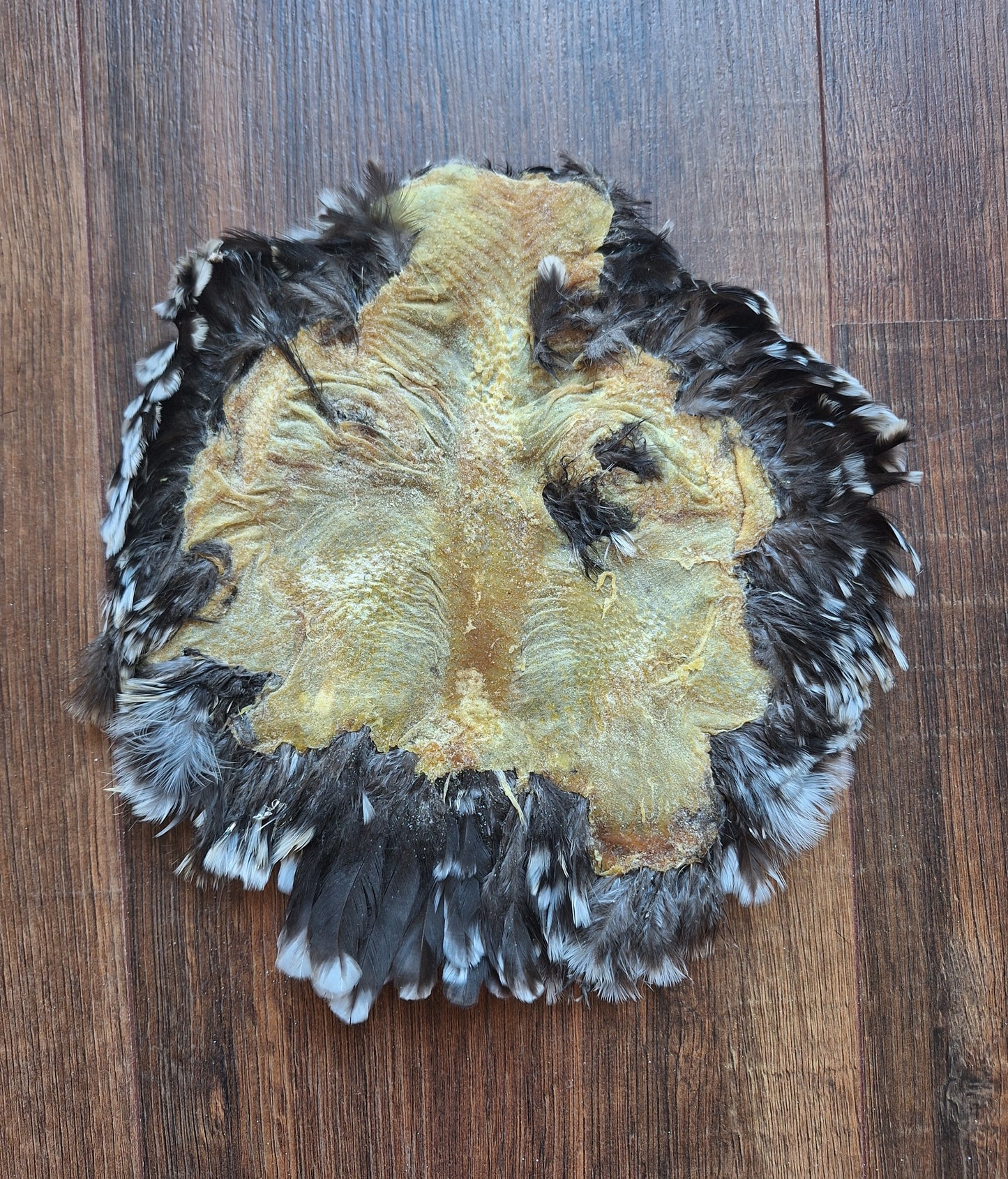 Chicken skin