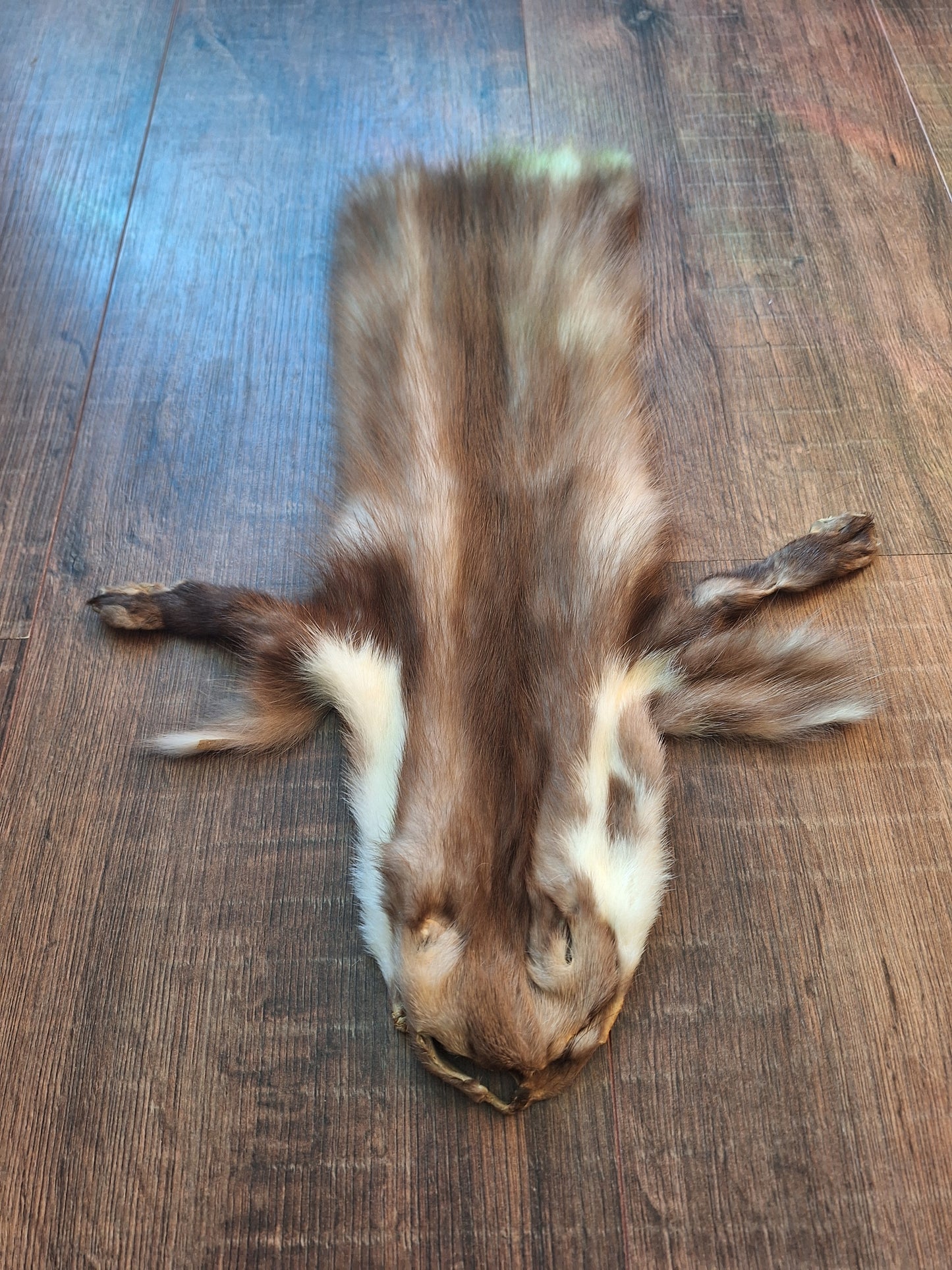 Stone marten hide #6, crafting piece