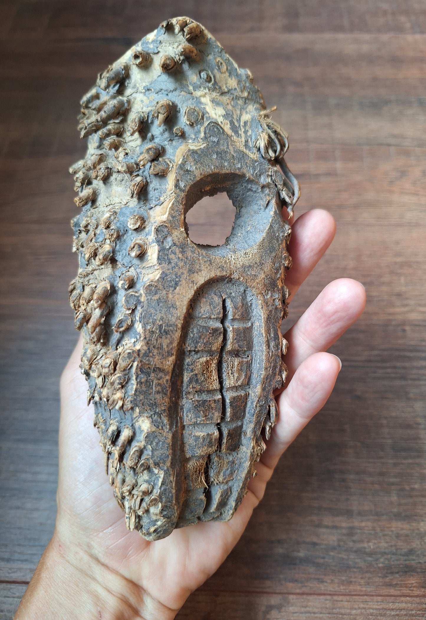 Nepalese palm tree root mask #8