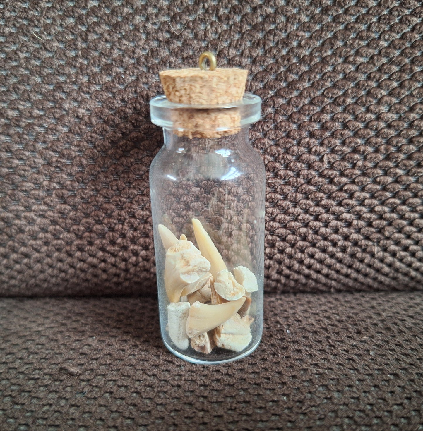 Shark teeth bottle