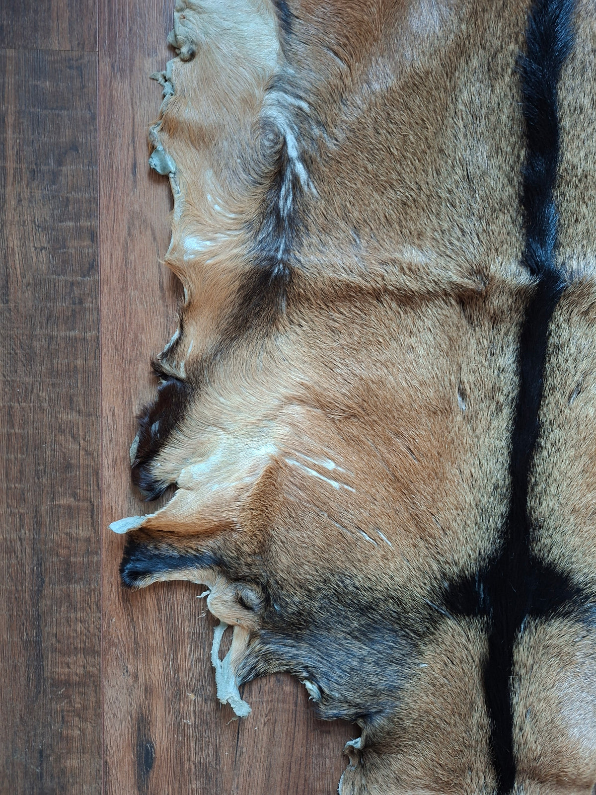 Goat hide, B-quality