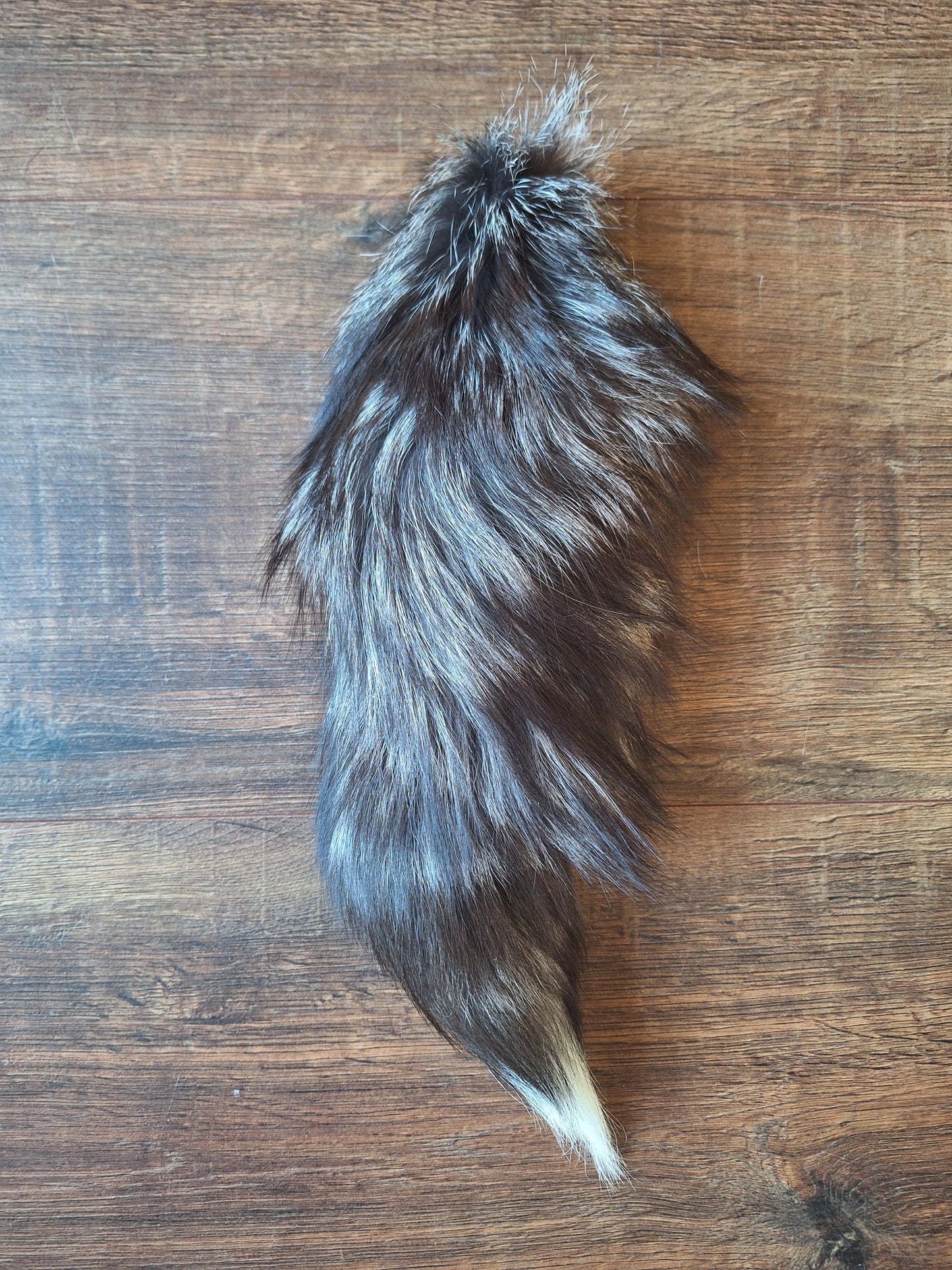 Silver fox tails