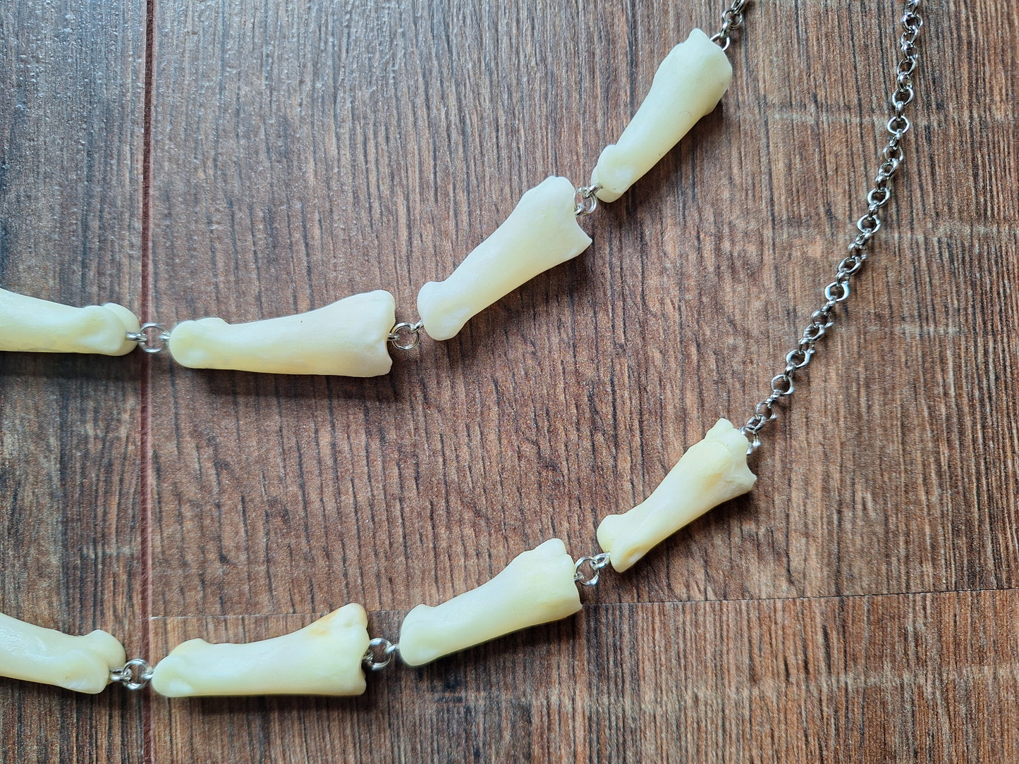Roe deer foot bones amulet necklace