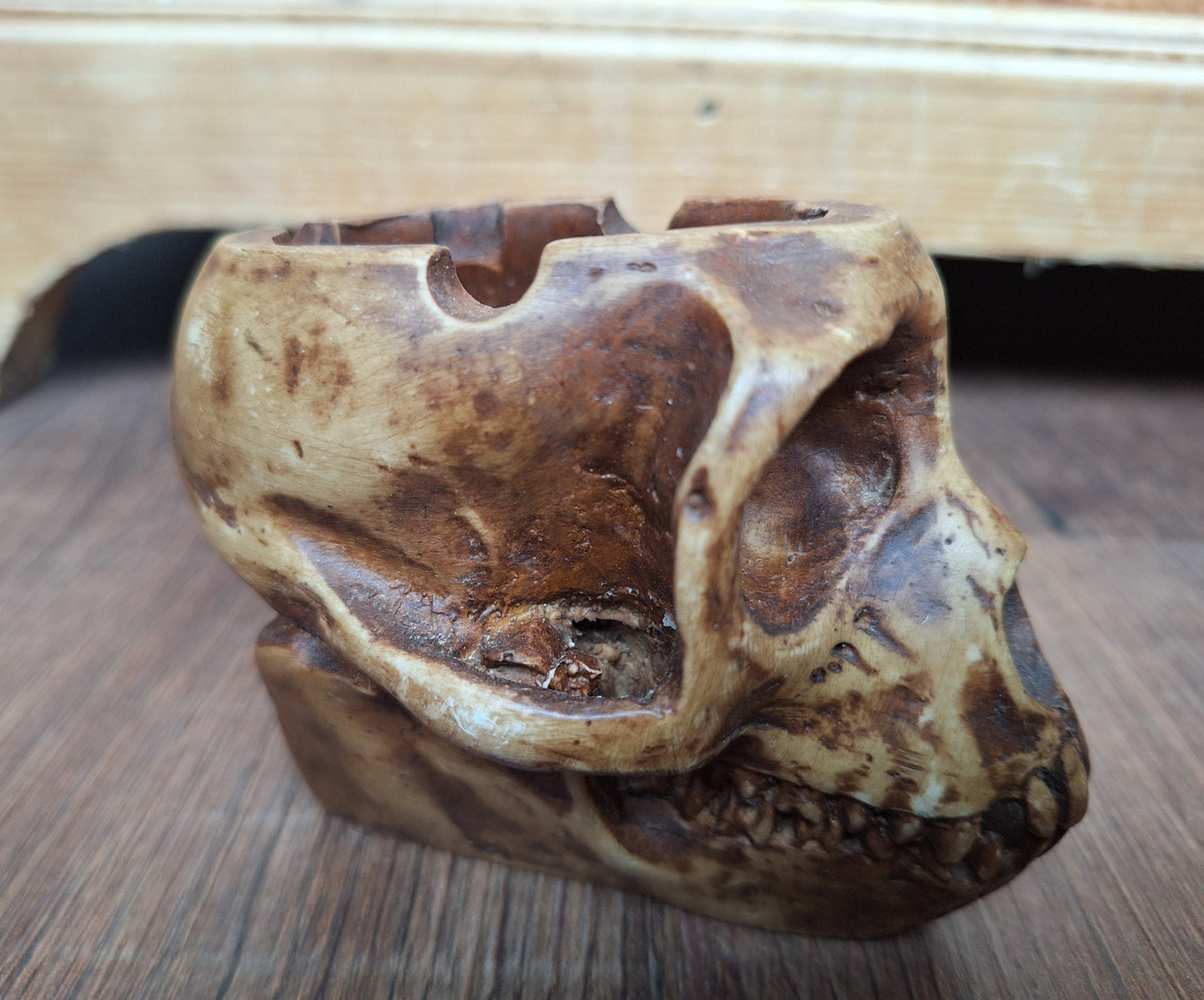 Resin monkey skull kapala