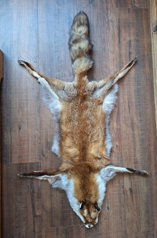 Red fox hide #22