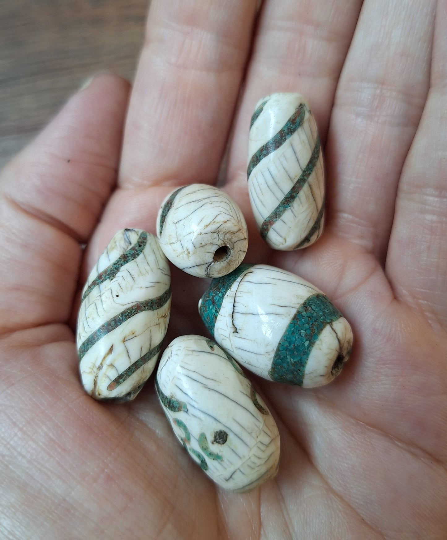 Old conch shell beads with turquoise inlay, set of 5