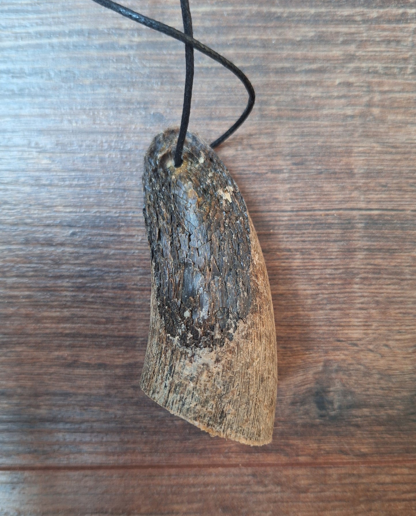 Cow horn pendants