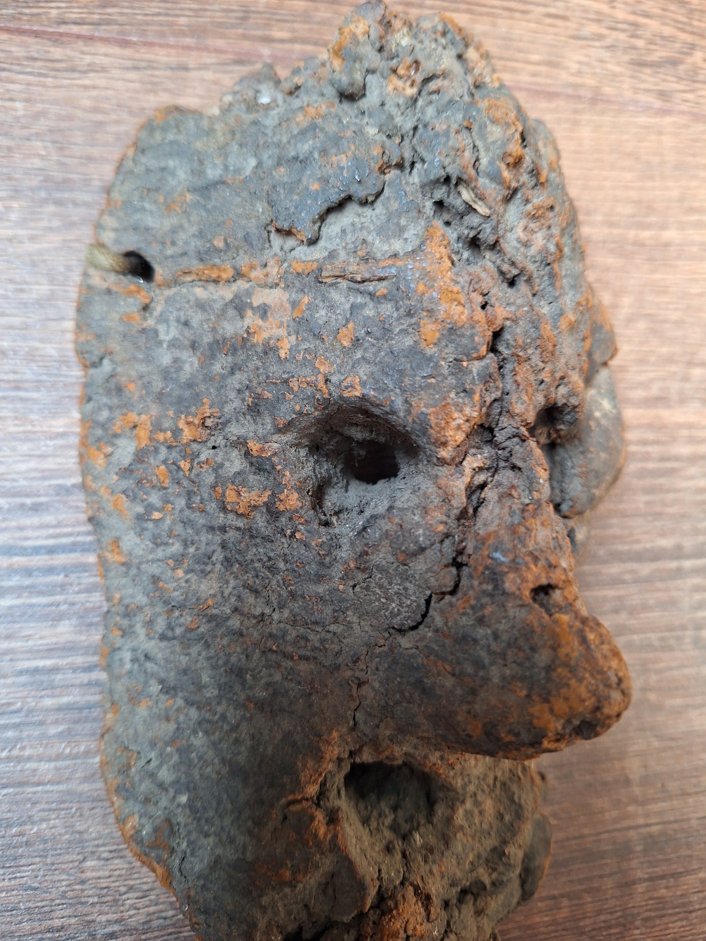 Antique Nepalese mushroom mask #9