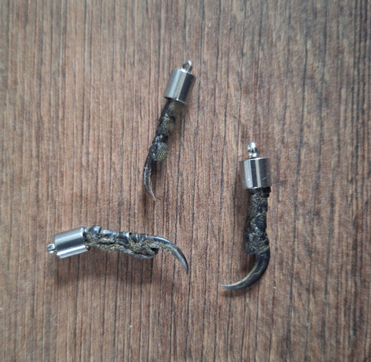 Crow nail pendant #6
