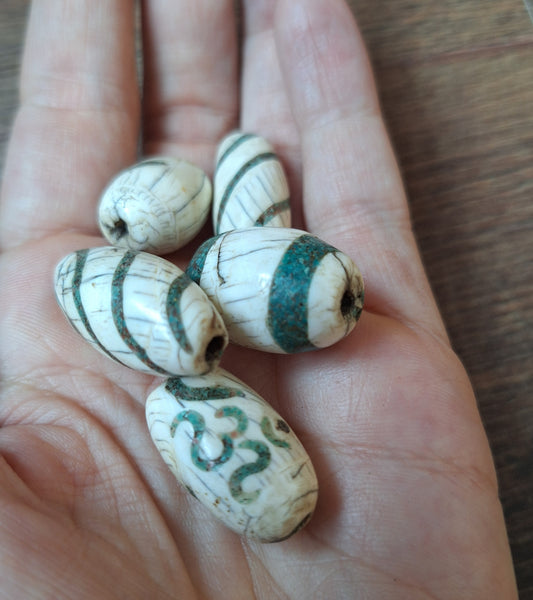 Old conch shell beads with turquoise inlay, set of 5