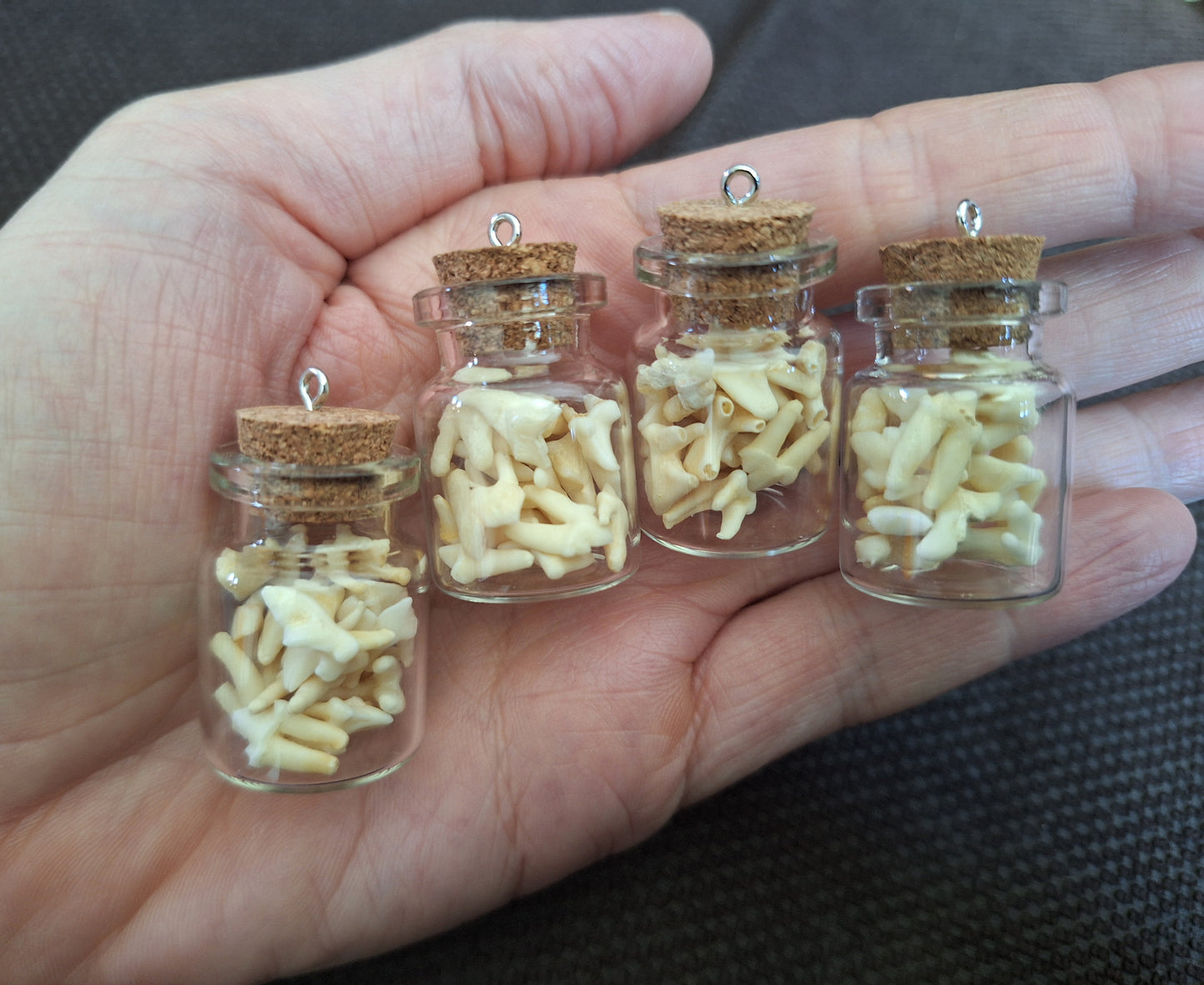 Fox teeth bottle