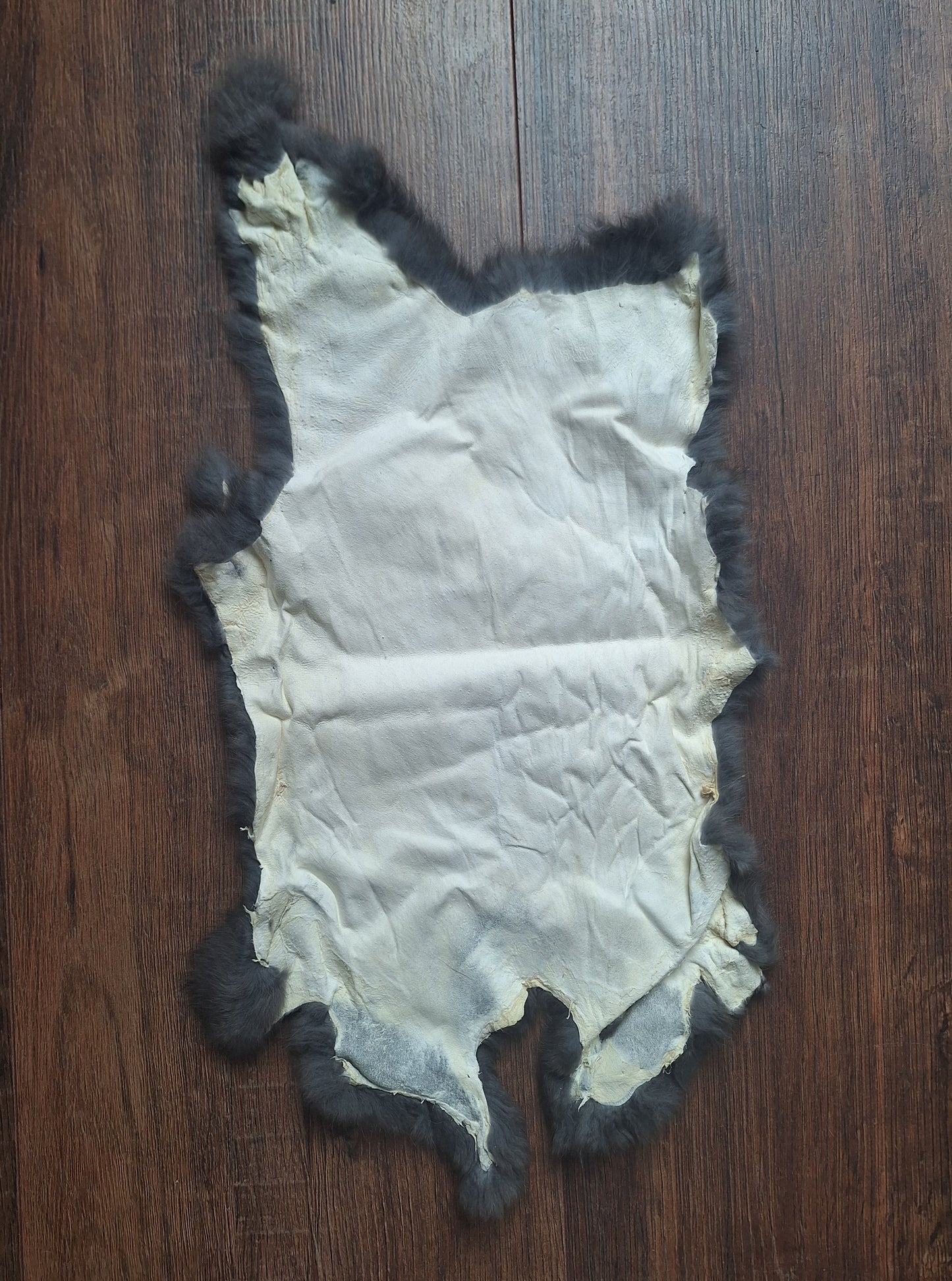 Rabbit hide #26
