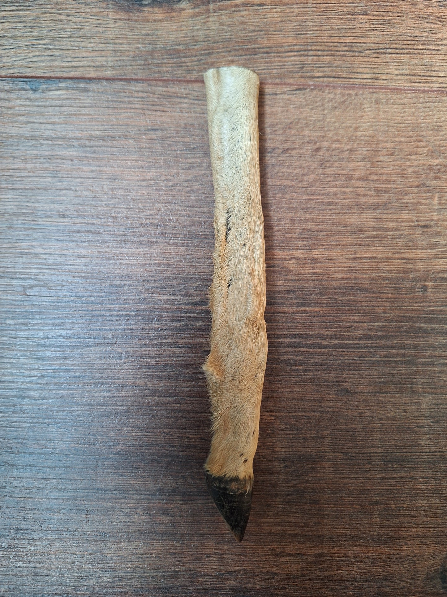 Vintage roe deer lower legs