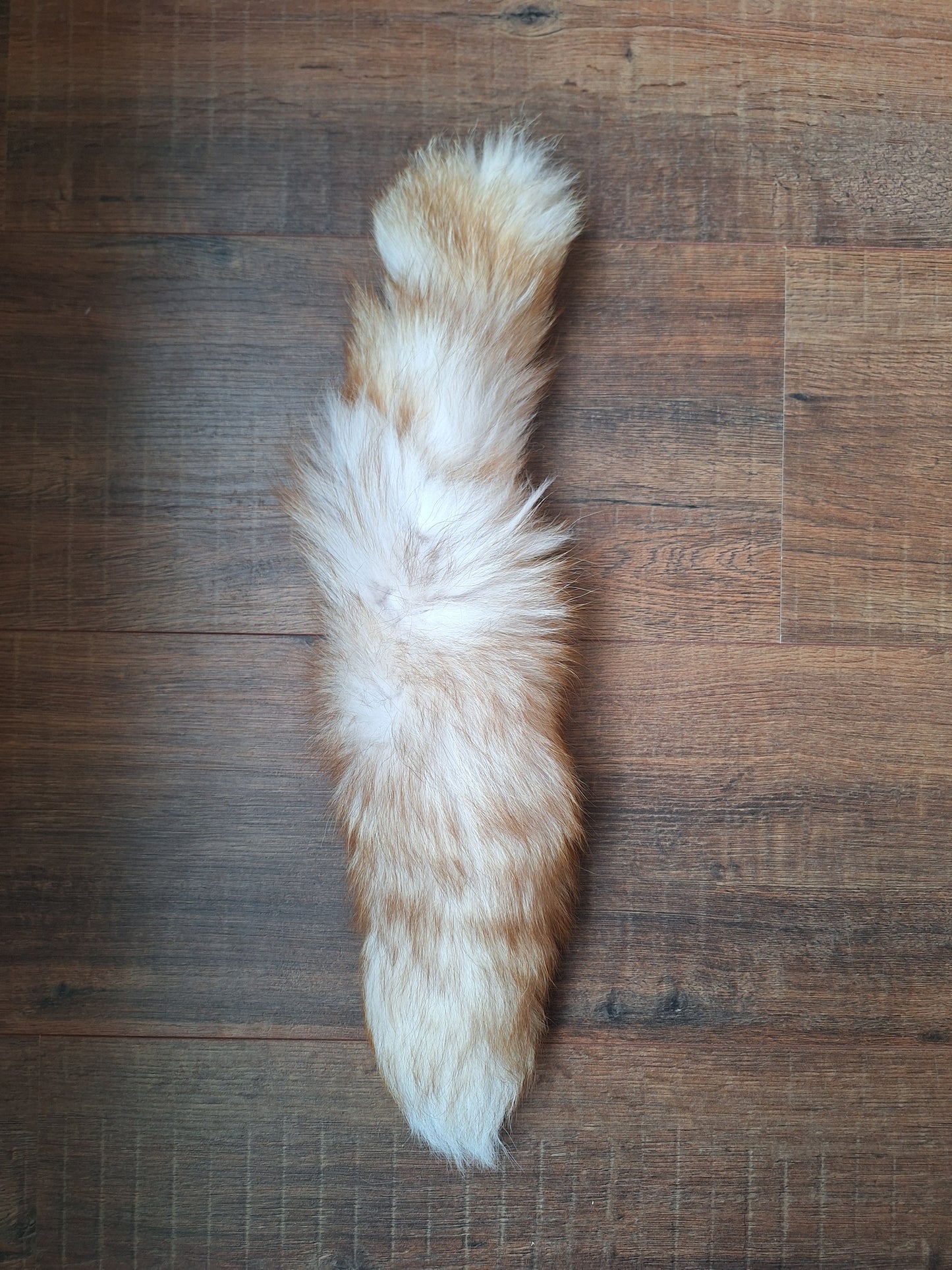 Painted silverfox tails