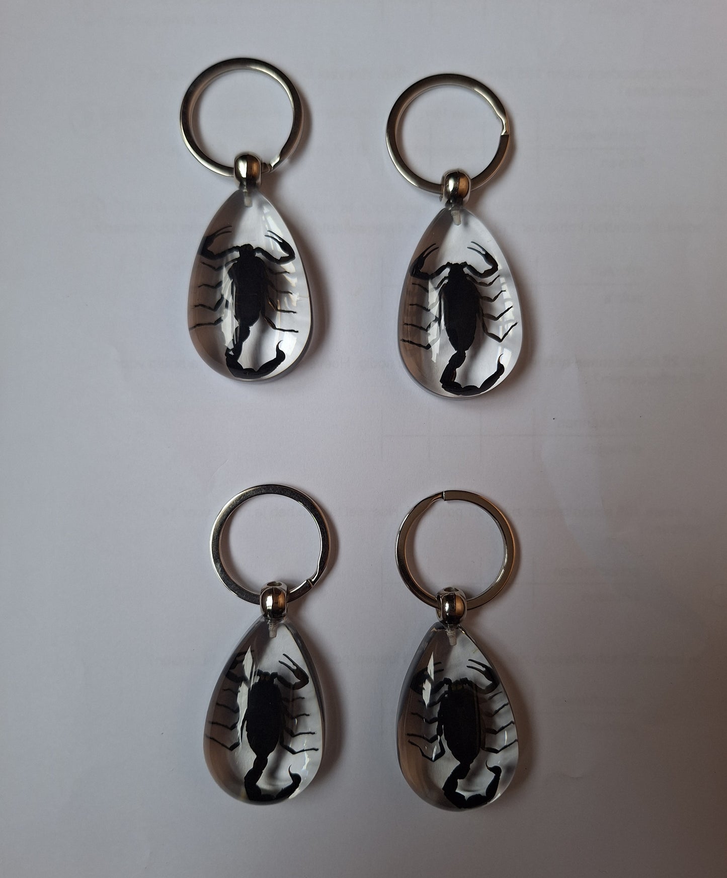 Scorpion in resin keychain