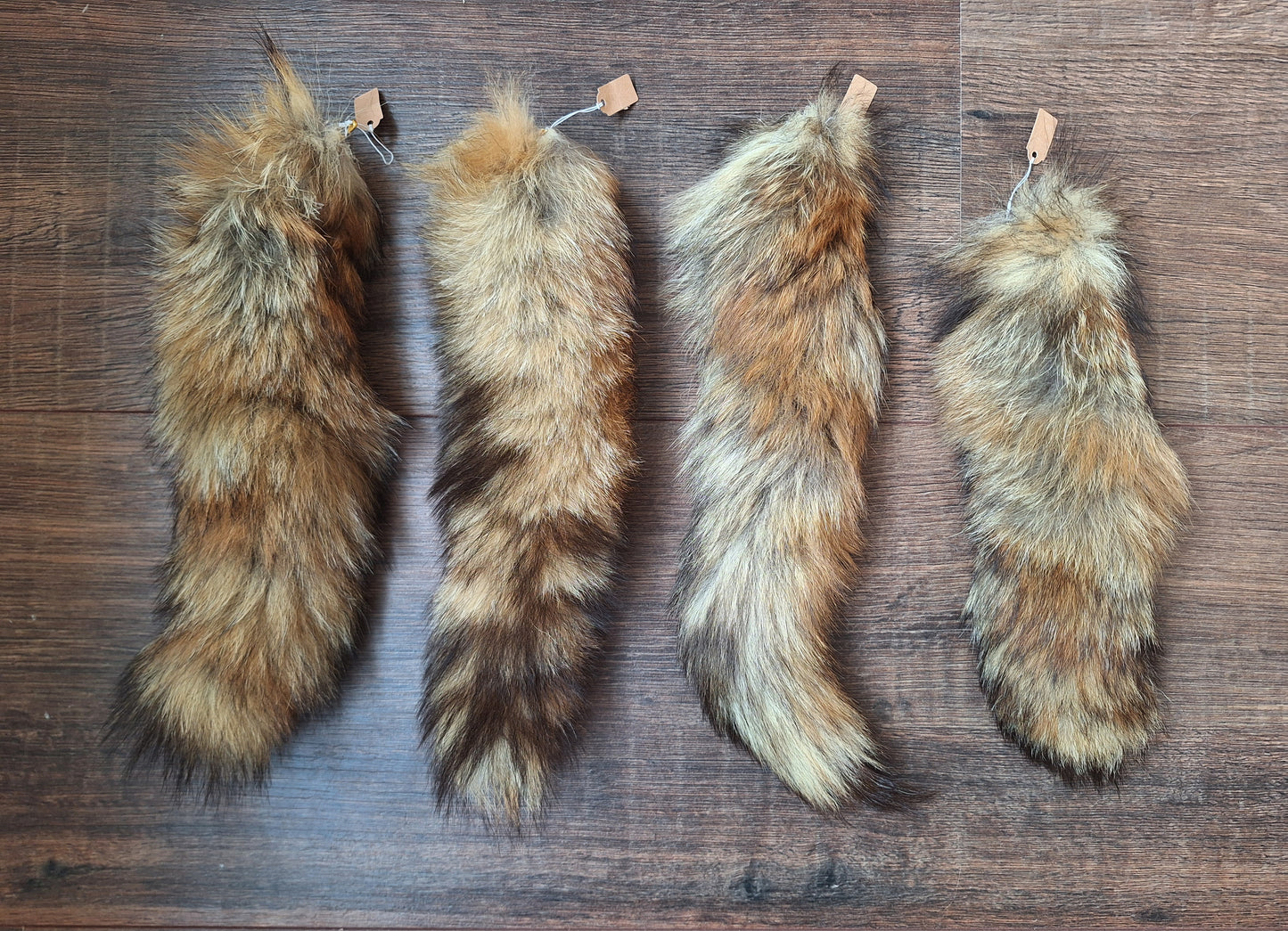 Red fox tails
