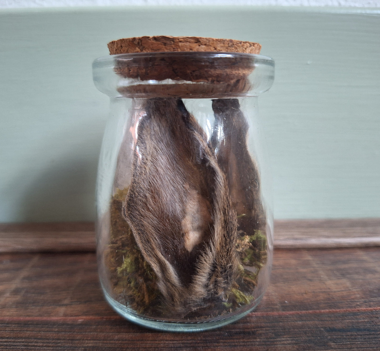 Rabbit ears and tail set in glass jar