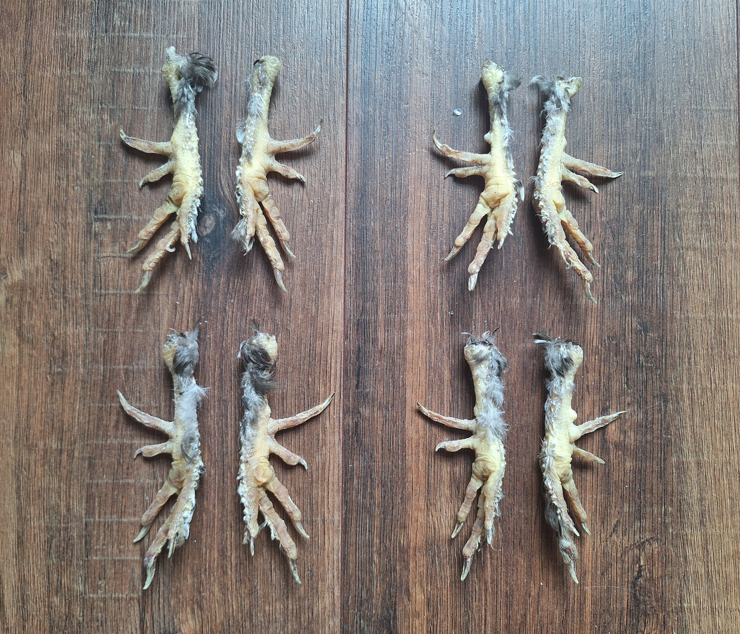 Silkie chicken lower legs, set of 2