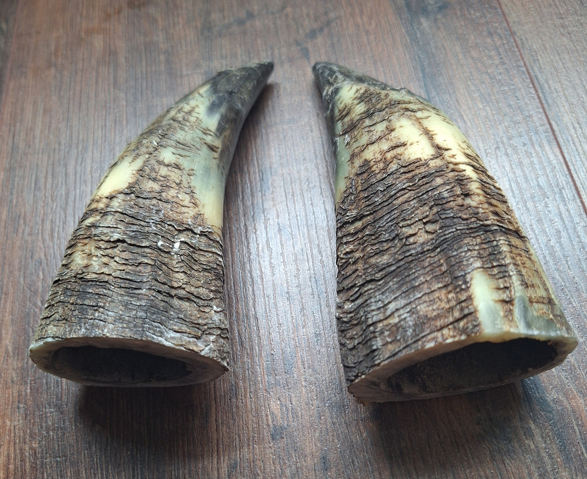 Cow horn set