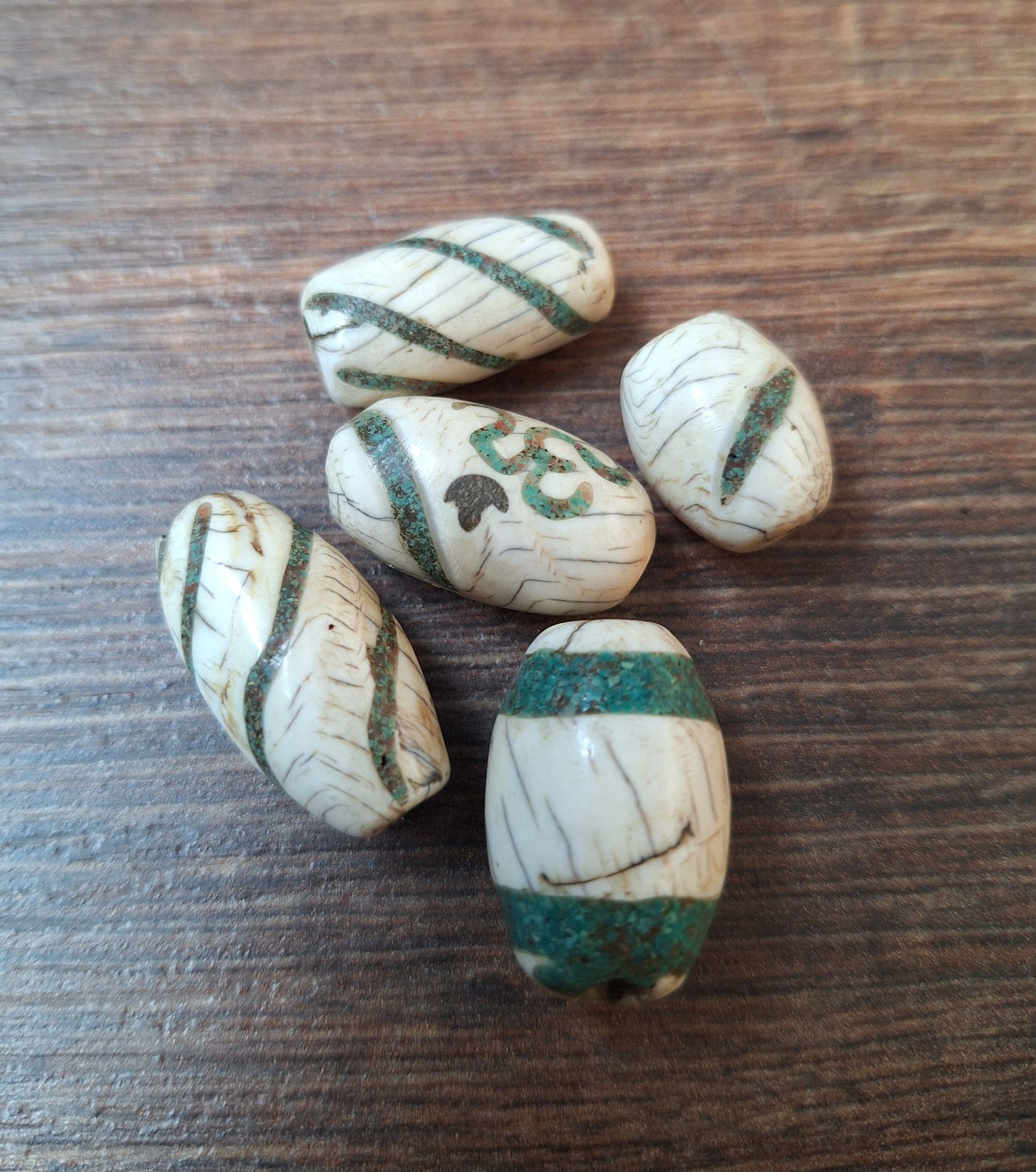 Old conch shell beads with turquoise inlay, set of 5