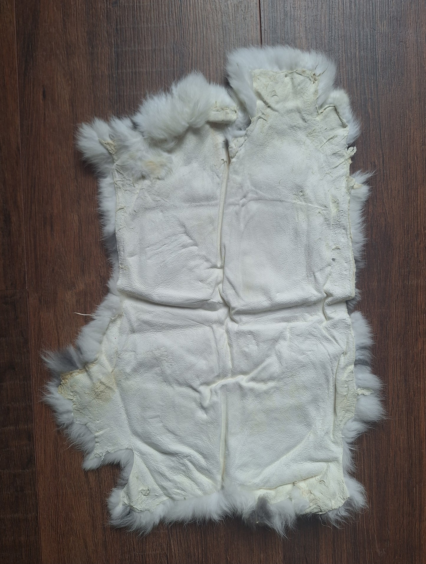 Rabbit hide #23