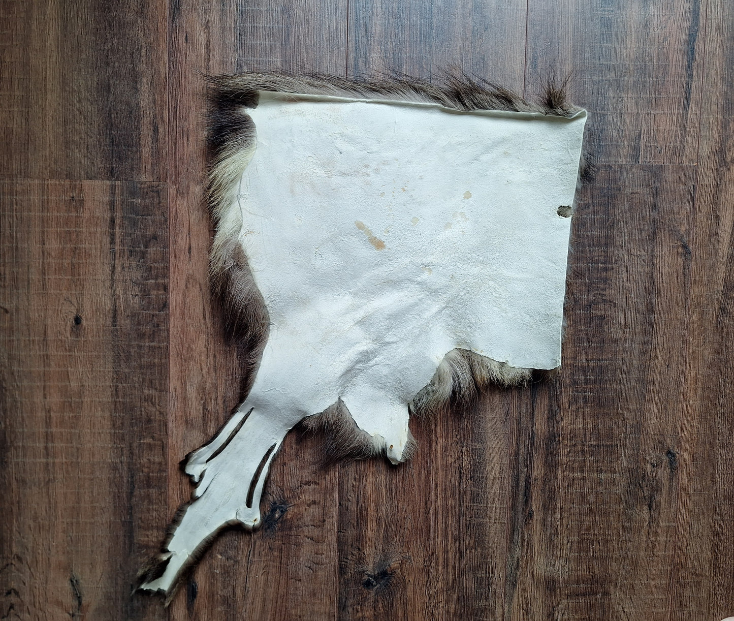 Chamois hide, crafting piece #1