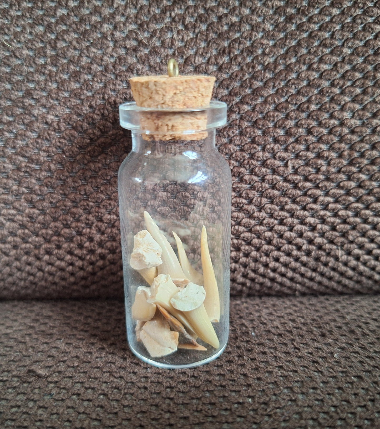 Shark teeth bottle
