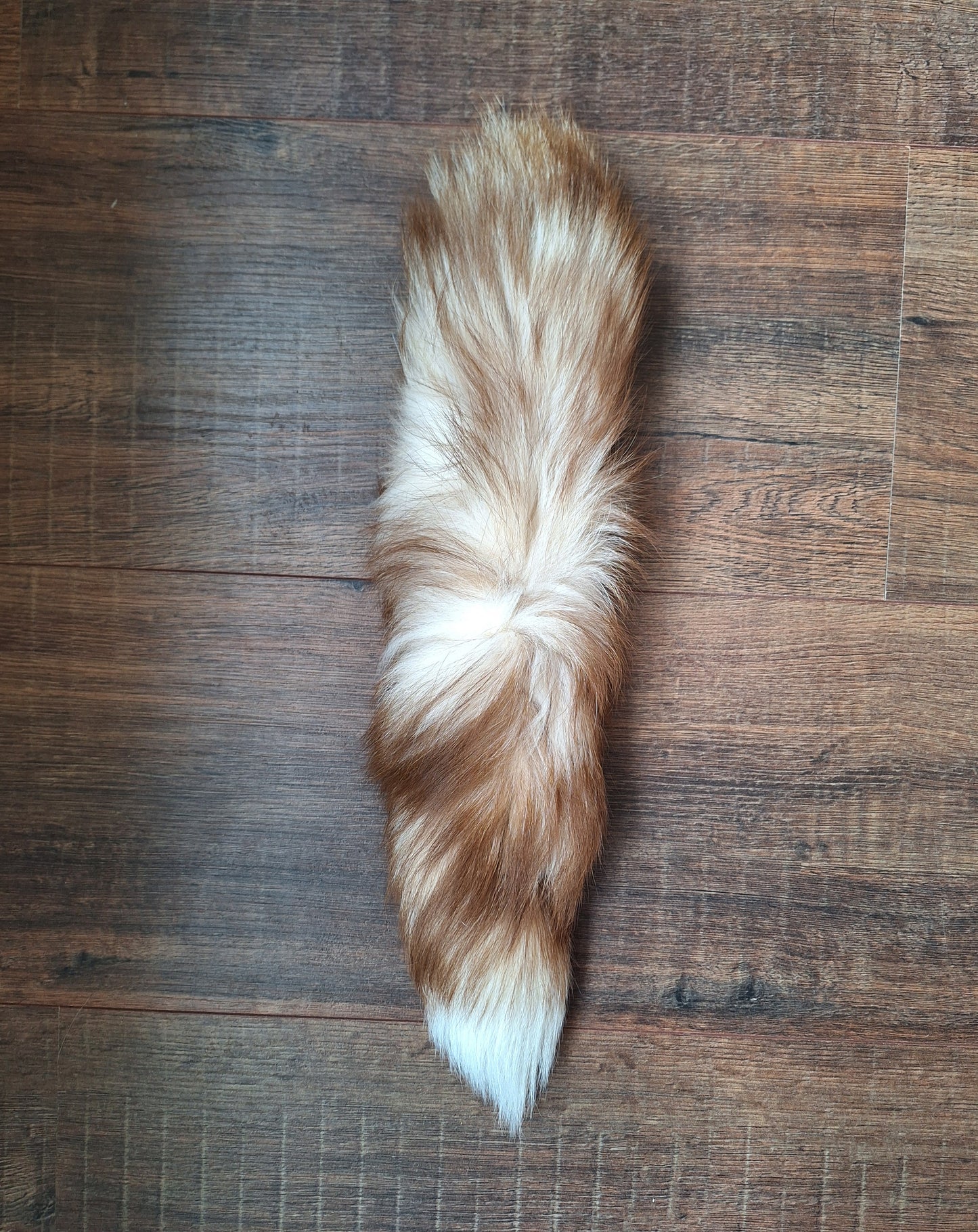 Painted silverfox tails