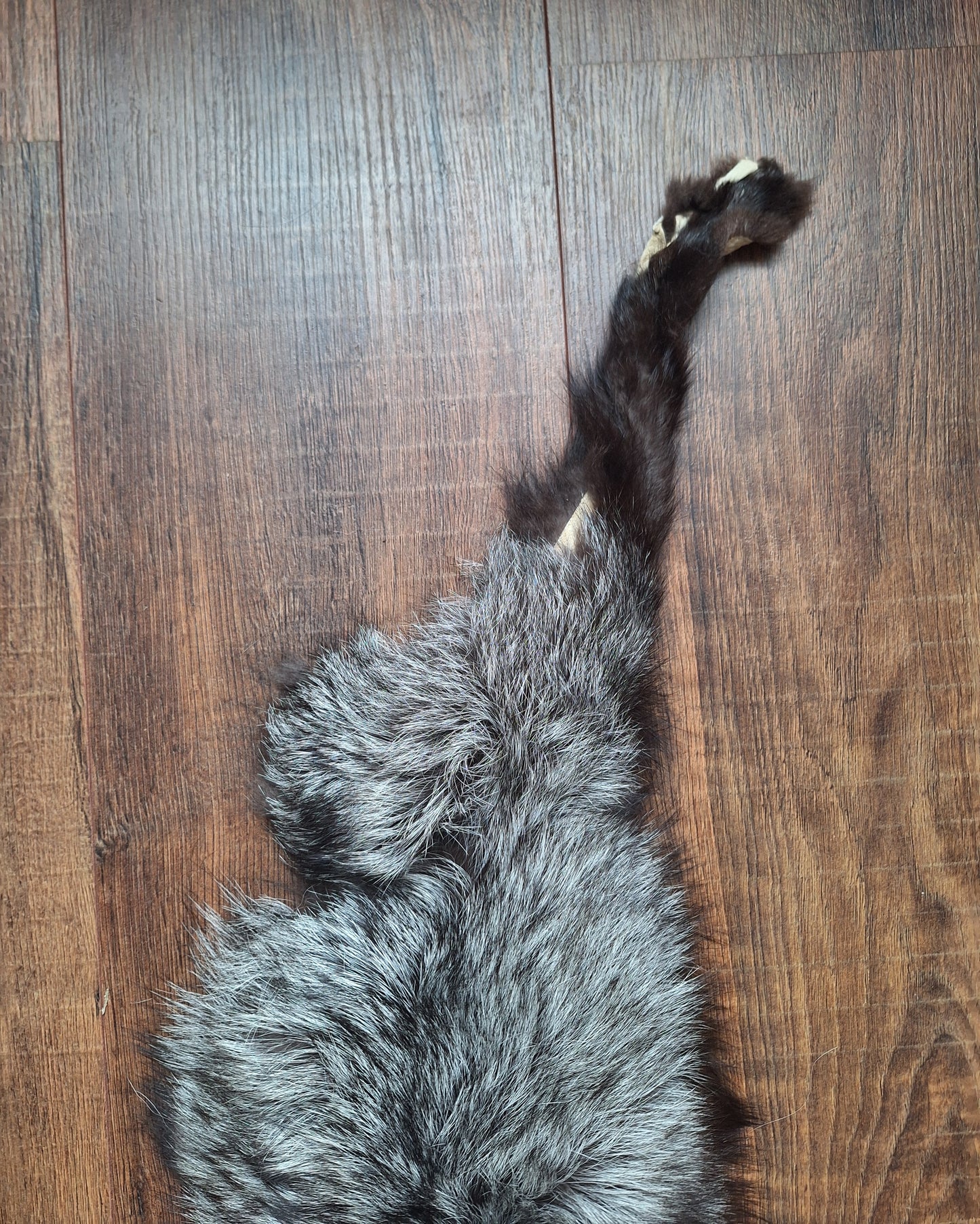 Silver fox hide crafting piece