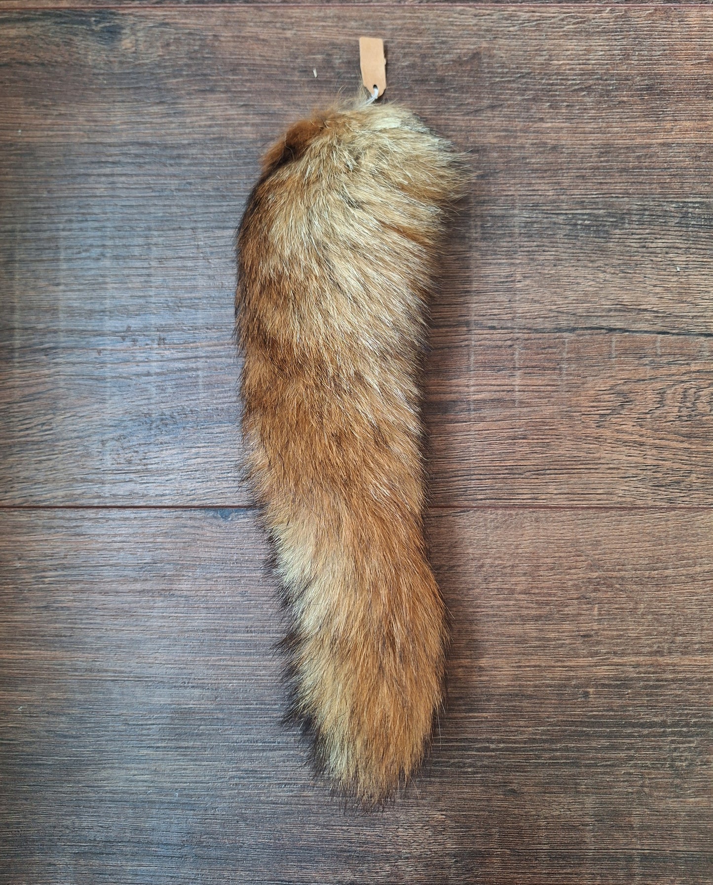 Red fox tails