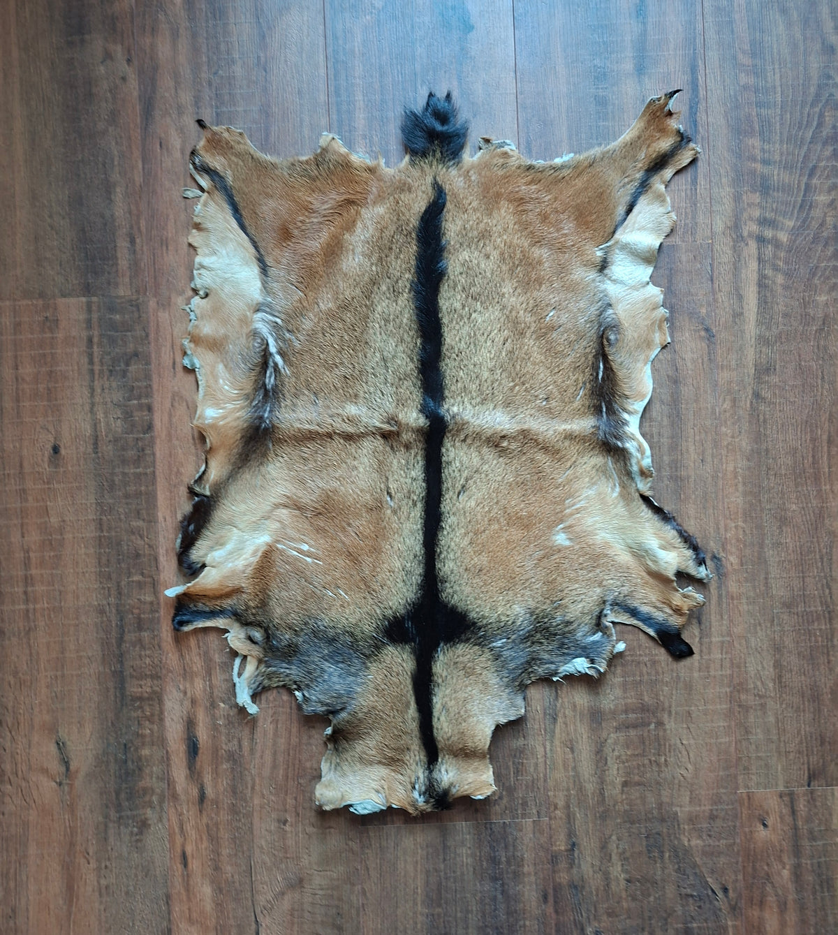 Goat hide, B-quality
