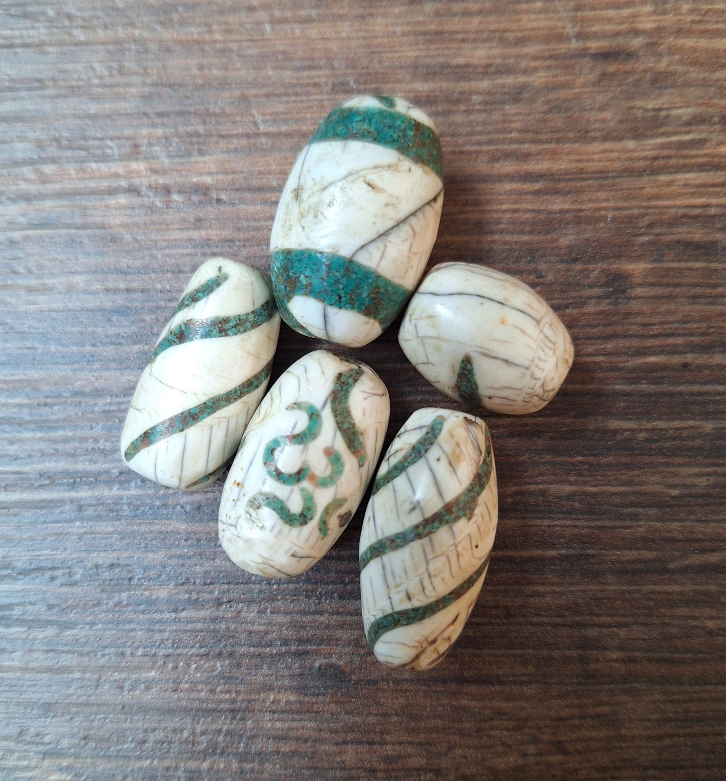 Old conch shell beads with turquoise inlay, set of 5