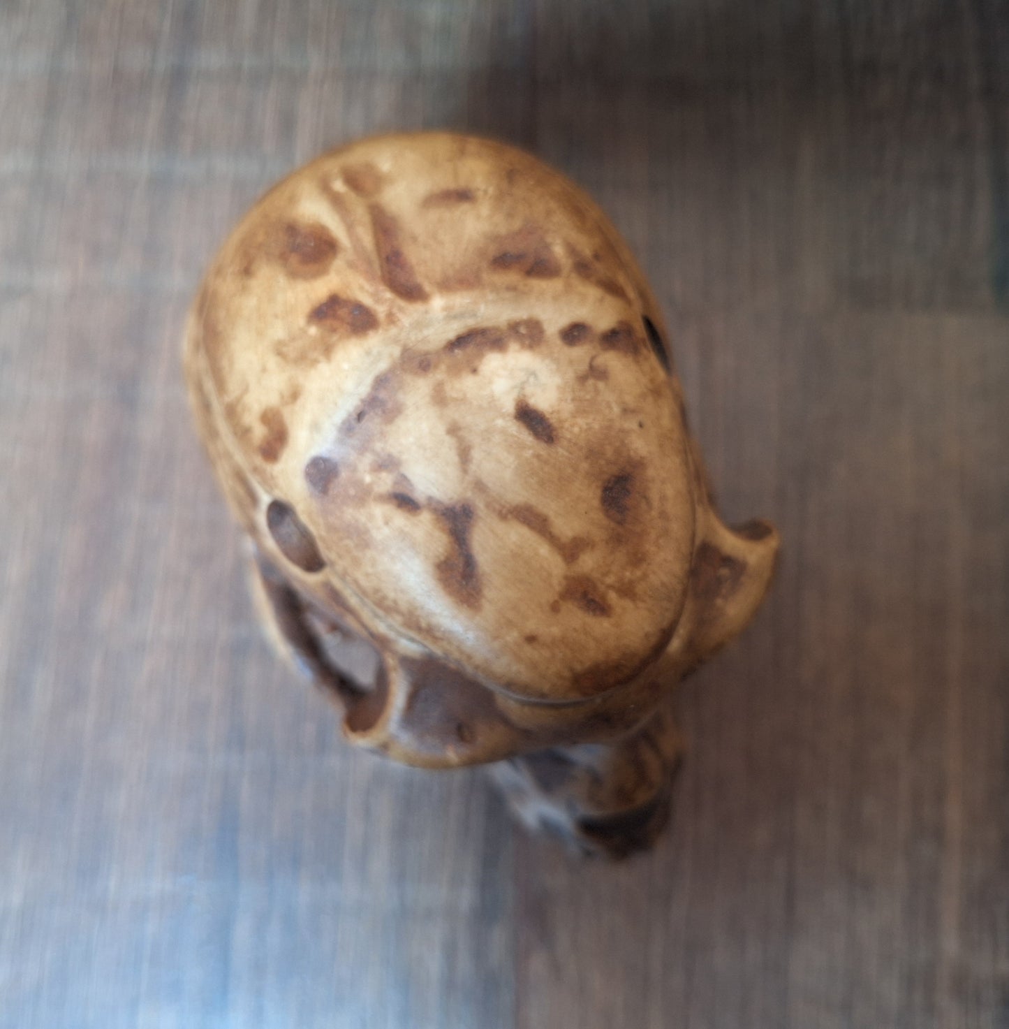 Resin monkey skull kapala