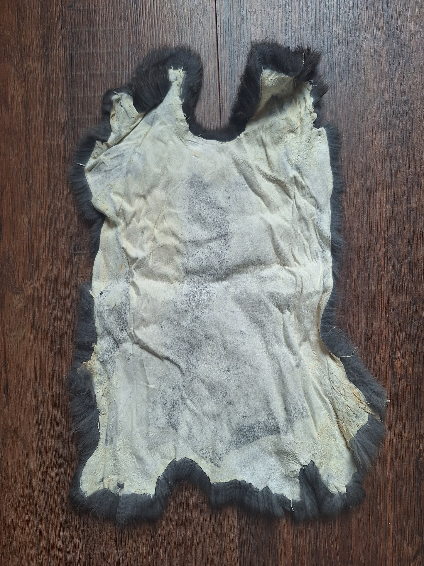 Rabbit hide #22