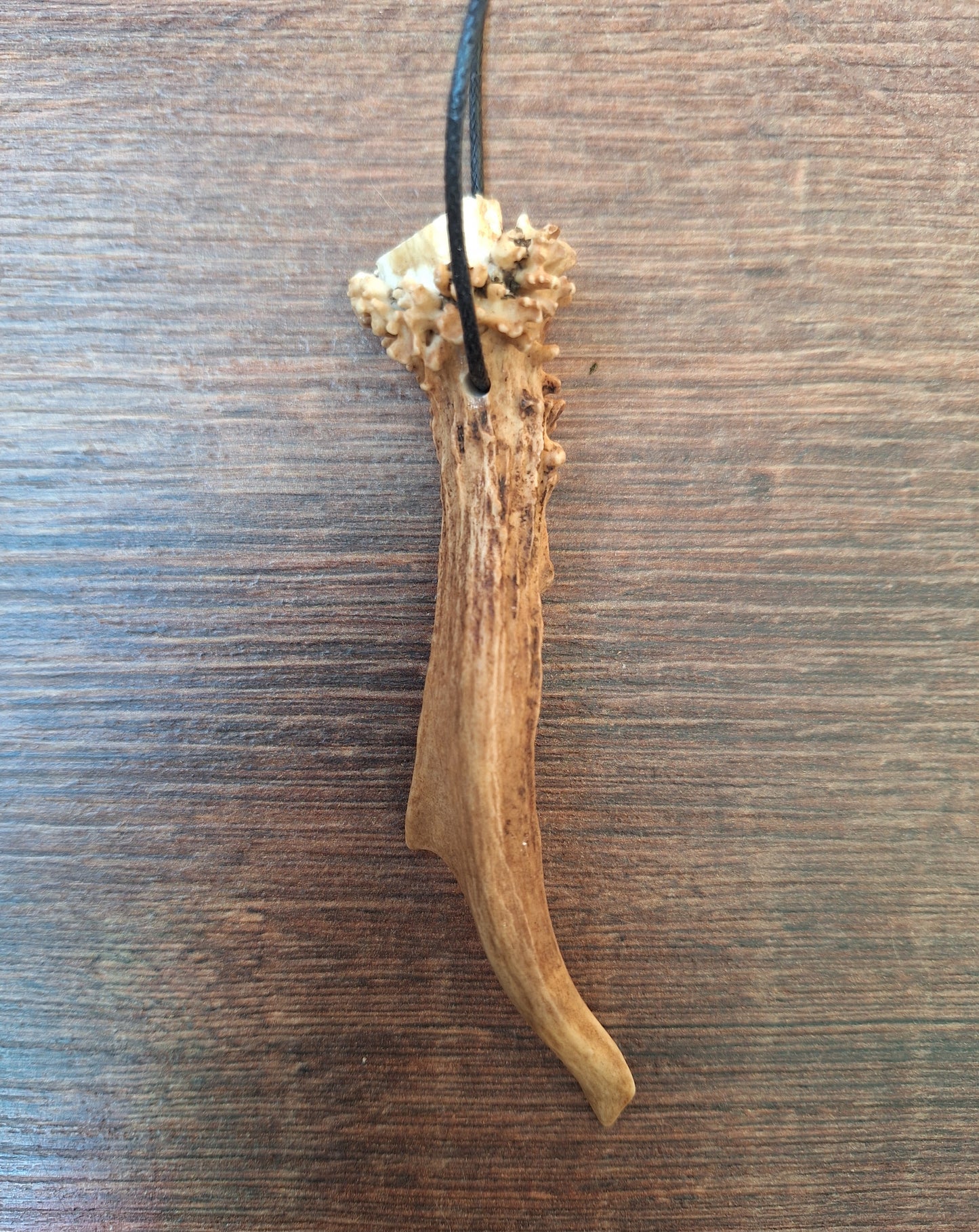 Roe deer antler necklaces