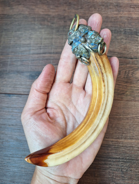 Vintage Nepalese wild boar tusk pendant