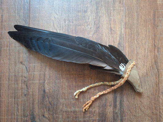 Barnacle goose wing fan