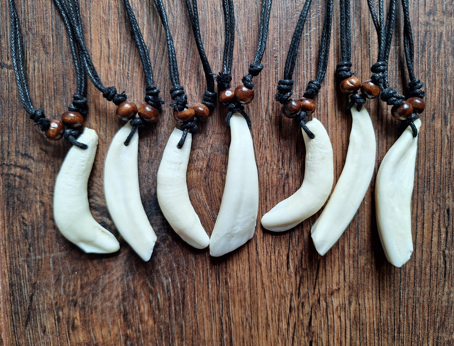 Camel tooth necklace