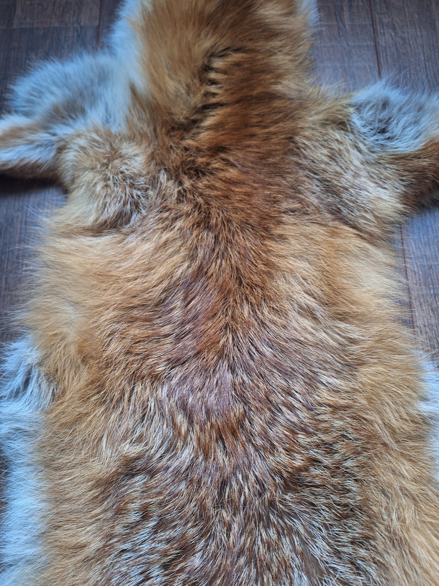 Red fox hide #32, B-quality