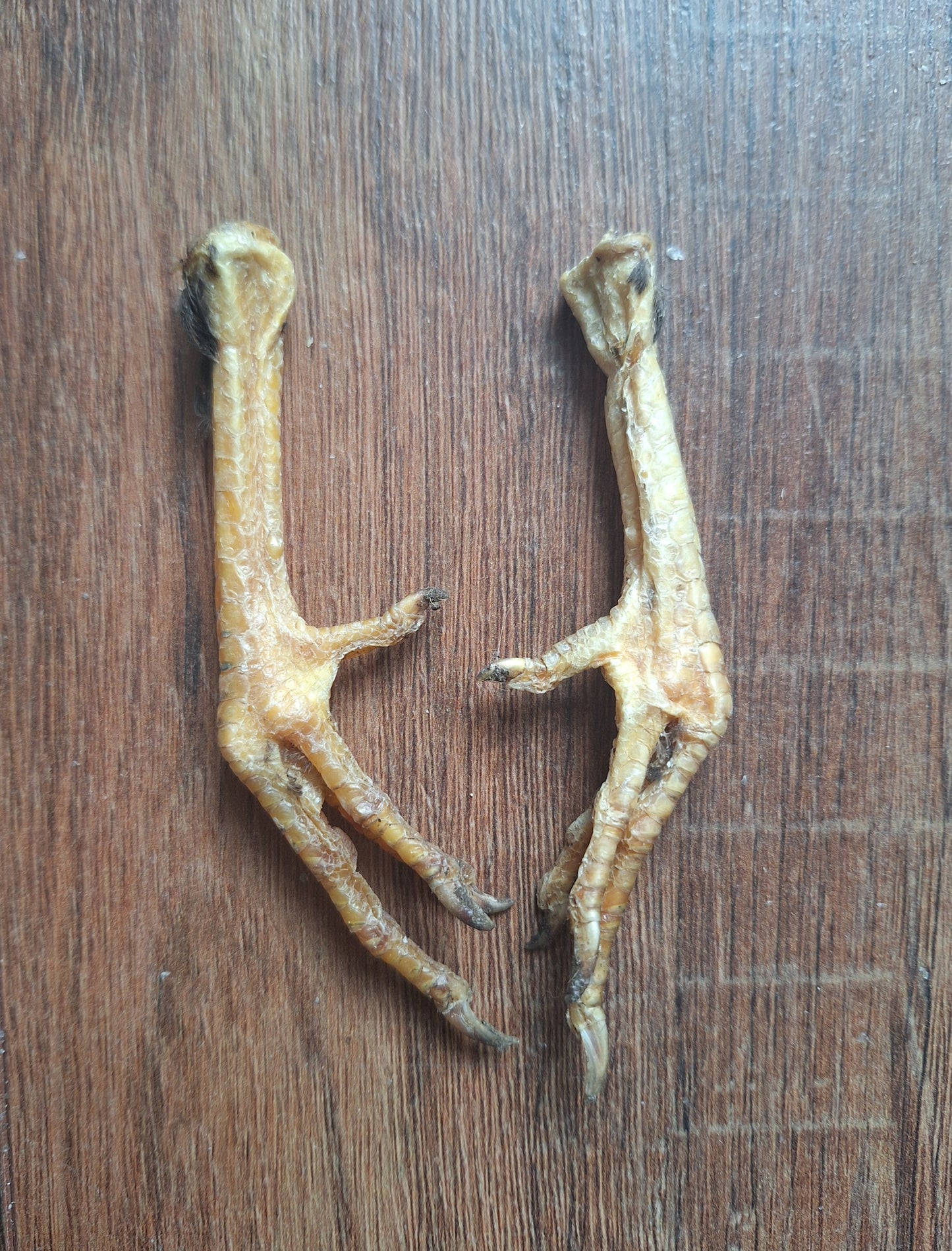 Chicken lower legs, set of 2